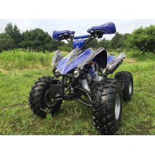 110cc Sport ATV mit vollautomatischen Getriebe für Kinder